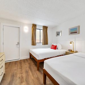 Type H Standard Royal Tower Dog Friendly